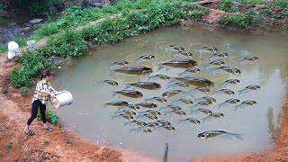 BIGGEST PIRANHA In the World  Amazon River Monsters [upl. by Aramanta]