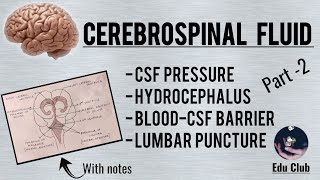 Cerebrospinal Fluid  Part 2 With QNA on PG Entrance Examinations [upl. by Nnylidnarb]