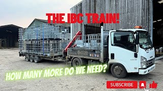 Day 137  Collecting more IBCs But how many do we have [upl. by Odelia]