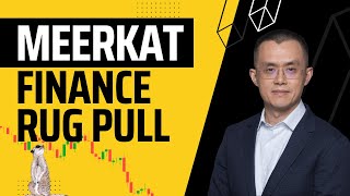 The Mad Meerkat Finance Rug Pull Explained [upl. by Kidd754]