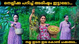 നെല്ലിക്ക പറിച്ച് അരിഷ്ടം ഇട്ടാലോനല്ല ഇടന ഇല കൊണ്ട് ചക്കഅടമലയാളം saranyas beauty vlogs [upl. by Morgan265]