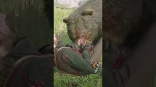 Perfectly Justified Bear Attack rdr2 [upl. by Magel583]