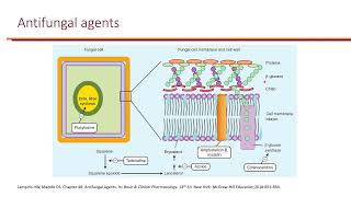 Invasive Fungal Infections [upl. by Doro]