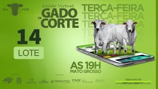 LOTE 14 GARROTE NELORE PESO 374kg [upl. by Siroved]