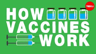 How do vaccines work  Kelwalin Dhanasarnsombut [upl. by Yate]