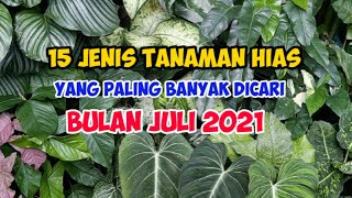 15 JENIS TANAMAN HIAS TERLARIS BULAN JULI 2021 [upl. by Sherill314]