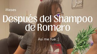 Resultado del shampoo con Romero [upl. by Enneyehs]