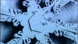 Snowflakes amazing short video thanks BBC [upl. by Mathre702]