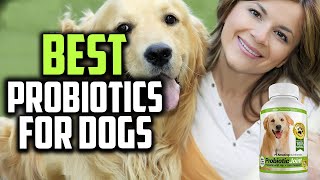 ✅Top 5 Best Probiotics for Dogs in 2023 [upl. by Lerraj]