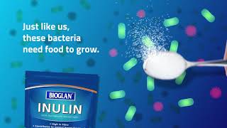 Bioglan Inulin Powder [upl. by Ellenrahs620]