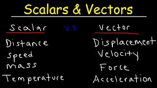 Scalars and Vectors [upl. by Ymaj]