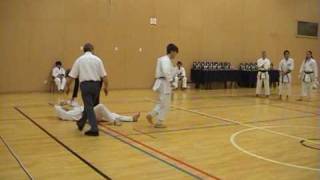 Ippon waza by Andre Bertel Shotokan Karate [upl. by Ahoufe733]