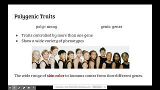 Polygenic Traits [upl. by Aniarrol]