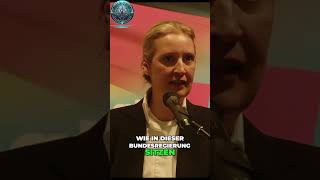 Frau Weidel TRILIONEN Euro Kosten für Deutschlands Energiepolitik [upl. by Adnylem]