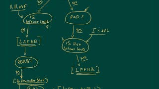 Fascicular Blocks High Yield Reshoot [upl. by Enwahs]