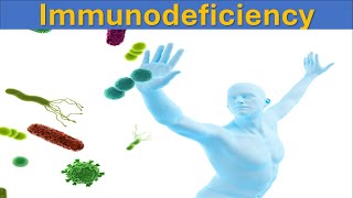 Understanding Immunodeficiency Causes Types and Treatments  Immune System [upl. by Enisaj160]