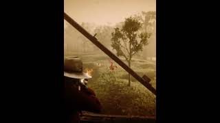 Rdr2  Robbing 2 Stagecoaches arthurmorgan rdr2 [upl. by Aem989]