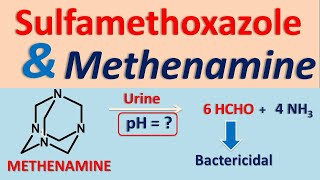 Sulfamethoxazole and Methenamine drug interaction [upl. by Joete36]