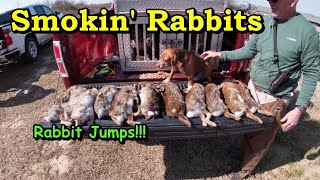 Rabbit Hunting with Great Dogs 2024 [upl. by Gniliem]