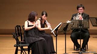 ライヒャ 木管五重奏曲 ホ短調 作品881 1楽章 Reicha Woodwind Quintet e moll Op881 1st movement by Amusequintet [upl. by Noicnecsa]