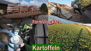 Farmvlog 325 Kartoffelernte  Rapsbestand [upl. by Adolphus]