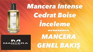 Mancera Intense Cedrat Boise  Mancera Genel Bakış  En İyi Erkek Parfümleri [upl. by Patrice]