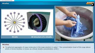 Saponification Reaction Carbon and its Compounds Class 10 Physics [upl. by Nahtanaoj571]