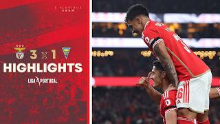 ResumoHighlights  SL Benfica 31 GD Estoril Praia [upl. by Alleda]