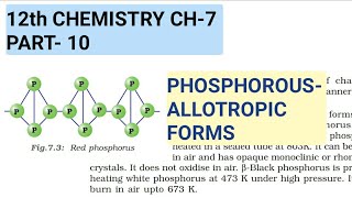 12th Chemistry Ch7Part10Allotropes of PhosphorousStudy with Farru [upl. by Nnaaihtnyc794]