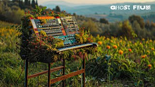 Tuscany Flowers Relaxing Organic Soundscapes EXPERIMENTAL AMBIENT MUSIC 1 Hour [upl. by Sedlik]