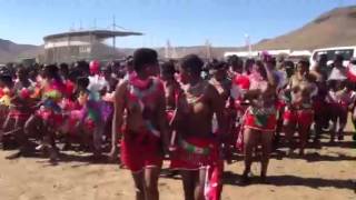 Umhlanga Reed Dance KwaNongoma 2013 [upl. by Nnairam]