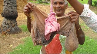 Goat Intestine Cooking amp Eating By Grandma Lamb Gizzard Recipe 2017  Mango Boti Curry In Village [upl. by Yancey]