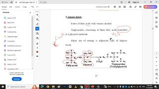 biochemistry lipid [upl. by Euqirrne]