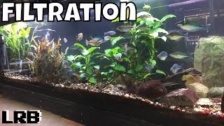 Aquarium Filtration How I am Able to Keep So Many Tanks [upl. by Onimixam39]