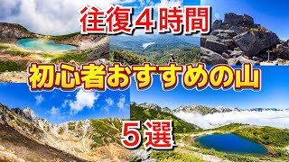 ［おすすめの山］往復４時間以内で行ける！登山初心者におすすめの山を５つ紹介！この山から登山の魅力を知るきっかけになれば幸いです。 [upl. by Granese]