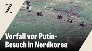 Südkorea feuert Warnschüsse auf nordkoreanische Soldaten [upl. by Llib]