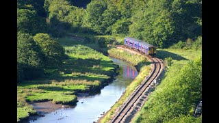 Drivers eye view of the Looe Valley line [upl. by Townsend]