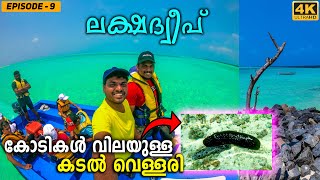 EP 9  Snorkeling in Lakshadweep Kalpeni Island  4K [upl. by Anitnatsnok58]