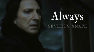 Severus Snape  Always  Another Love [upl. by Merriam376]