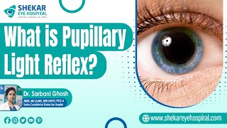 Importance and Types of Pupillary Light Reflex  Contraction of Pupil Miosis  Shekar Eye Hospital [upl. by Lyrrehs]