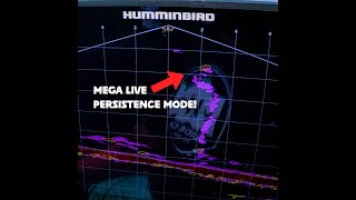 Humminbird MEGA Live Persistence Mode shorts [upl. by Bernardine]