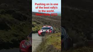 Action from the Manx Rally 2023 bring on the May 2024 Manx Already rally wrc motorsport [upl. by Evoy]