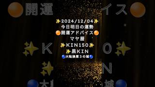 20241204 022 明日の運勢 マヤ暦 今日の運勢 開運アドバイス Kin150白い犬 黄色い種 音7 黒Kin 第3の城 風の時代 [upl. by Borlow]