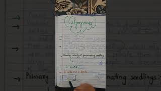 What are glyoxysomesWhat is the function of glyoxysomesGlyoxylate cycleGlyoxysomes [upl. by Noby]