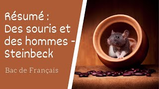 Des souris et des hommes Résumé [upl. by Latsryk]