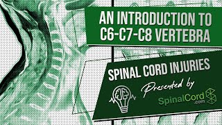 C6 C7 C8 Definitions Cervical Spinal Cord Injury Symptoms Causes Treatments and Recovery [upl. by Yoshio]