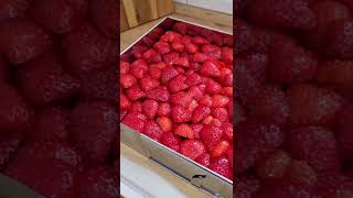 Erdbeeren 🍓 Bester Part vom Kuchen 😋 Shorts [upl. by Nlyak]