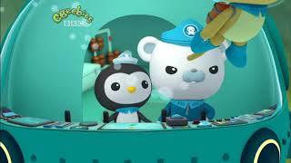 Octonauts  The Whale Shark 2010 [upl. by Cowley]