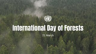 International Day of Forests 2022 [upl. by Nyllij829]