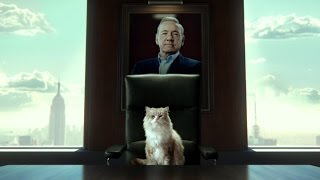 quotSiete vidasquot Nine Lives  Trailer en español [upl. by Nitsug]